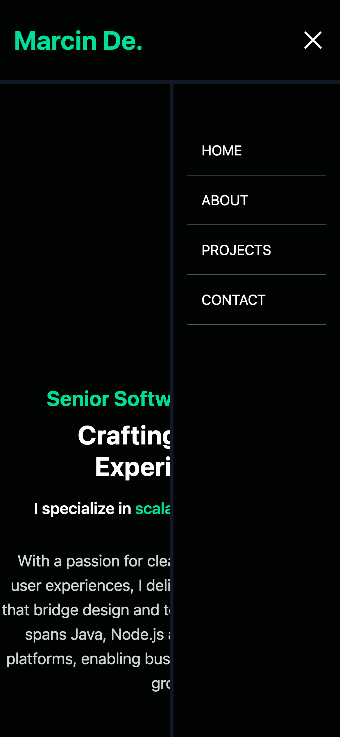 SurfingNerd Inc. Website screenshot 2